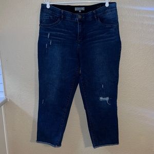 Wit & Wisdom 'Ab' Solution Skinny Stretch Crop Jeans / Size 20 W